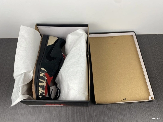 Rep TBK x 1 DN3400-001 Air Carnivore Jordan SoleFly Low 0721